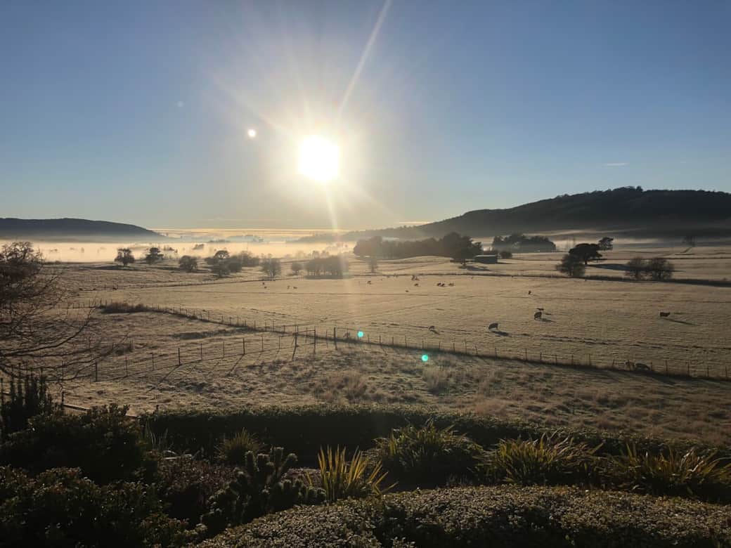 Frosty winter mornings