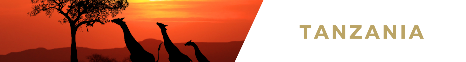 Tanzania luxury safaris