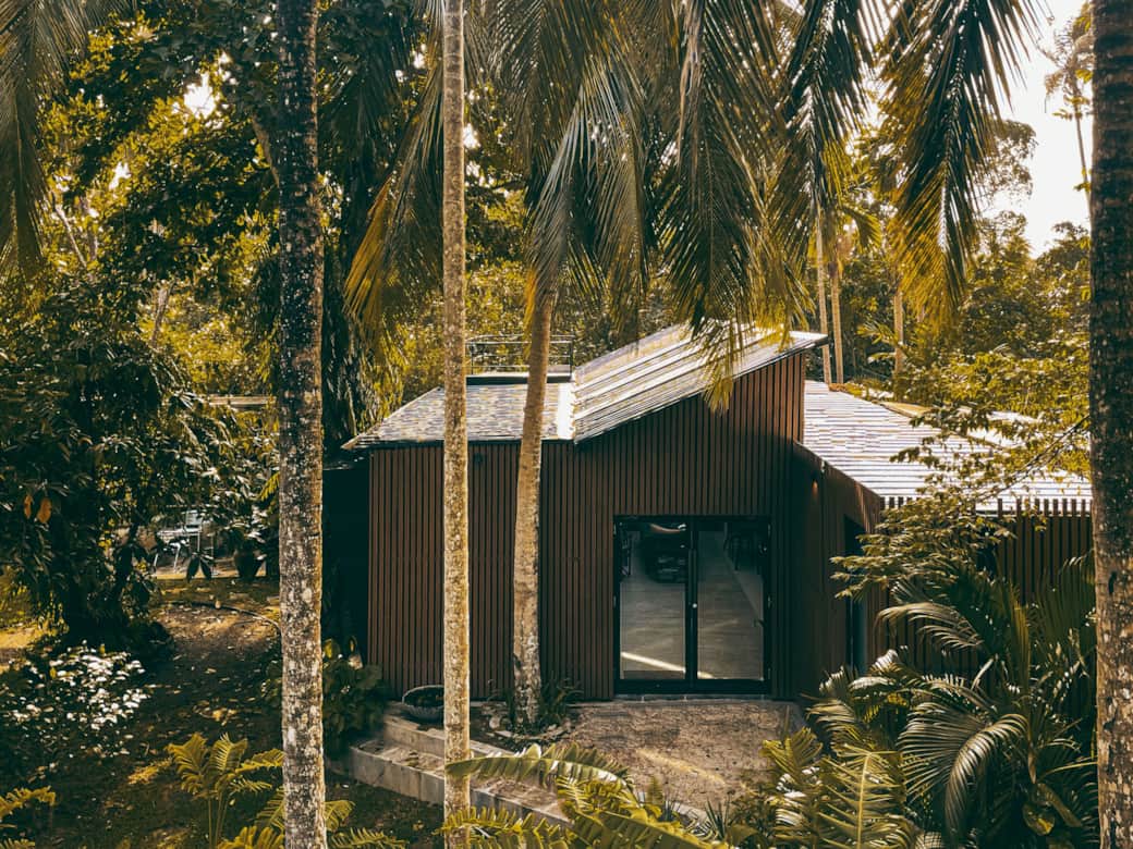 The house from the front and above, palms framing the roof.