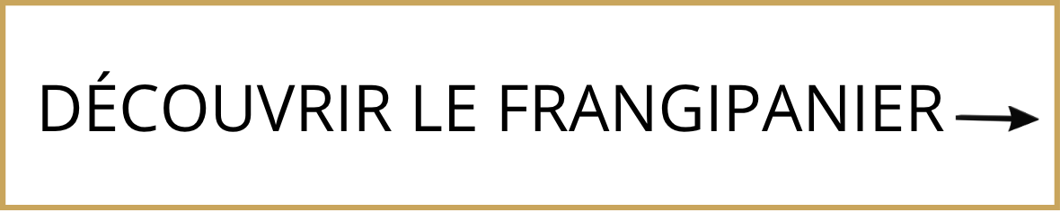 Découvrir la villa bord de mer Le Frangipanier à Saint Gilles les Bains de La Réunion - Les Villas Emmanuel