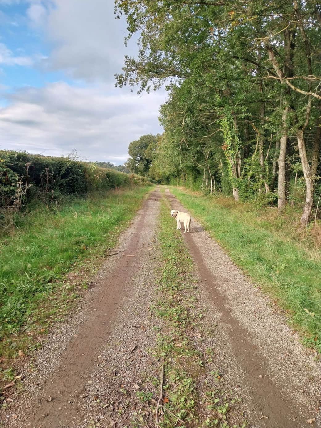 Sentier de randonnée au départ du gîte - dogfriendly