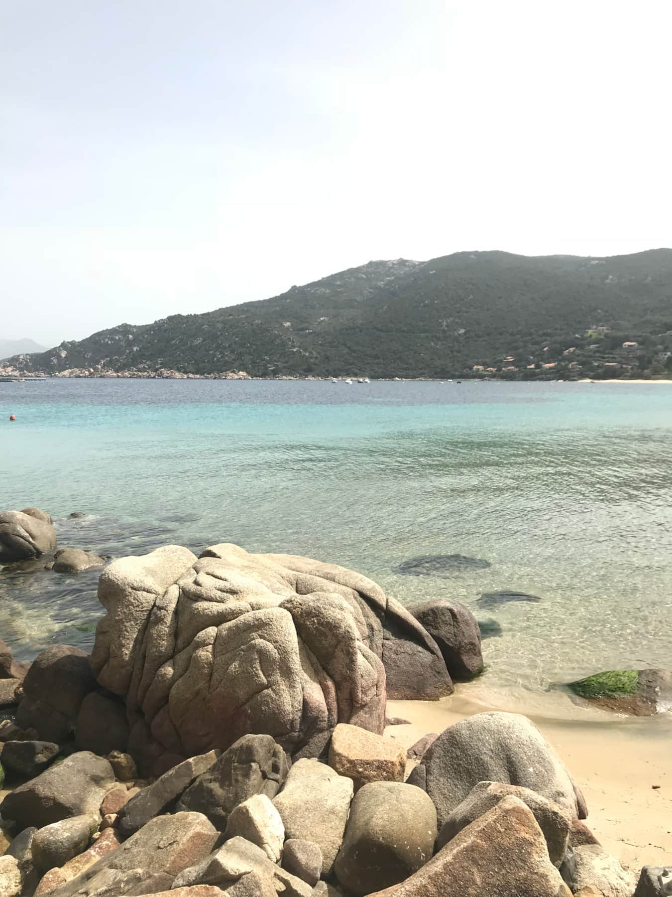 IMG_4716 - Copie.JPG