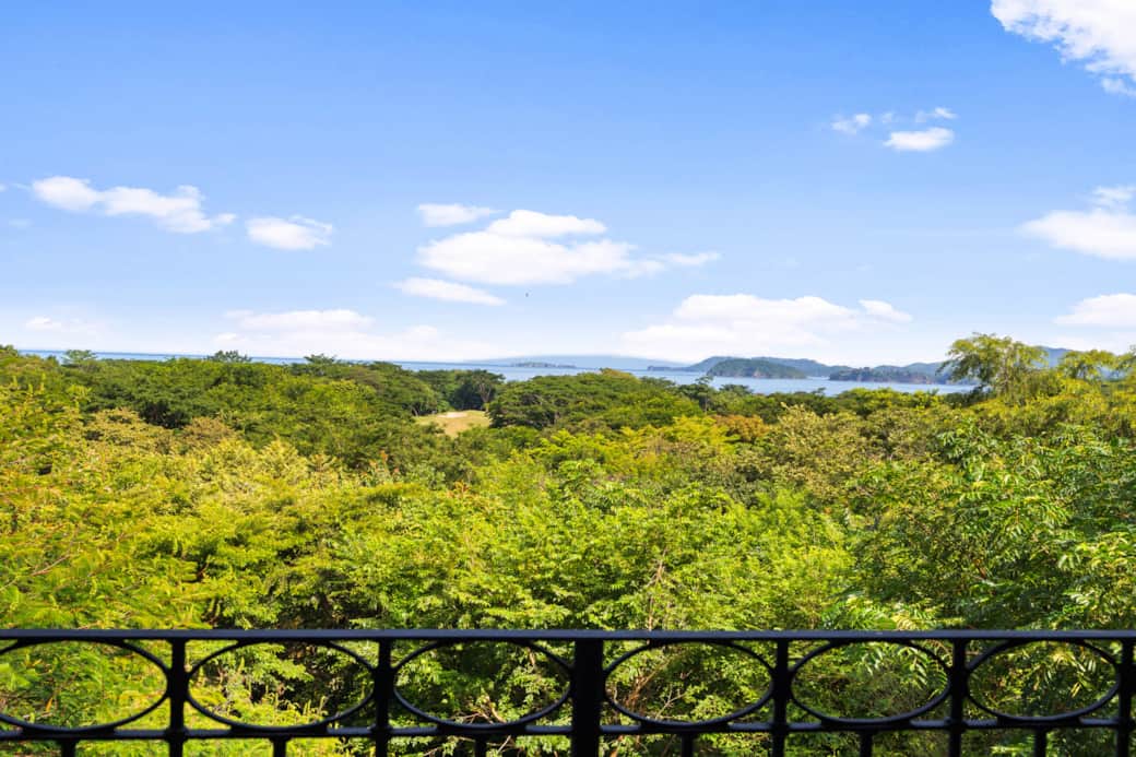 38 Jobo15guanamedia34 small