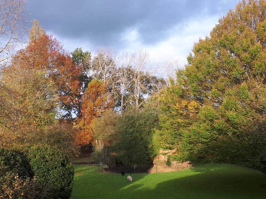 Parc arboré Parc arboré