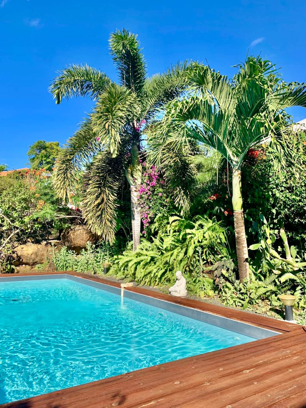 Piscine au sel partagée avec les 5 cottages Piscine au sel partagée avec les 5 cottages