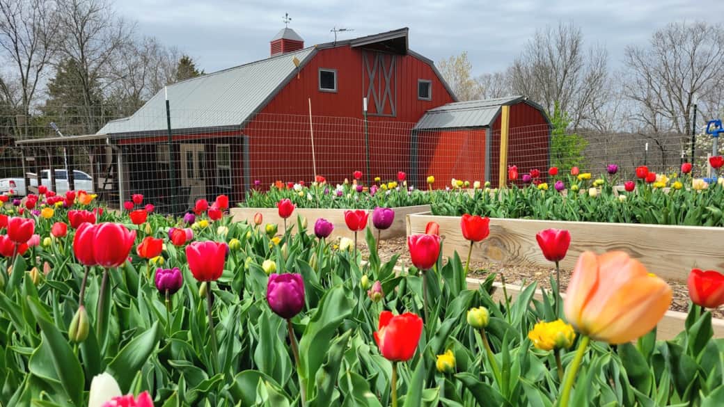 Flower garden