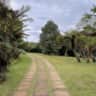 Rental image