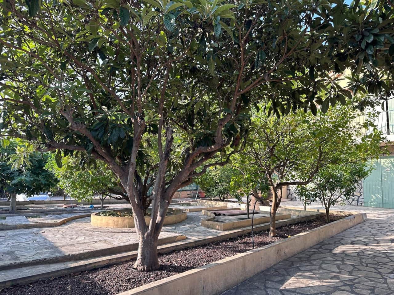 Il giardino alberato