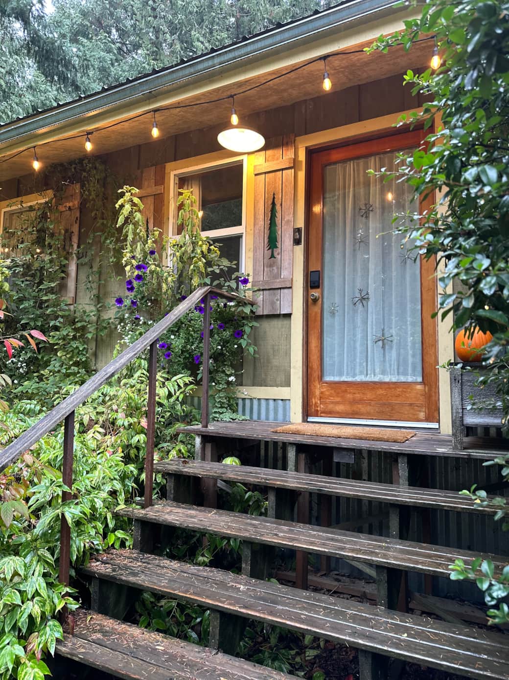 The Pine Cone Cabin in summer.