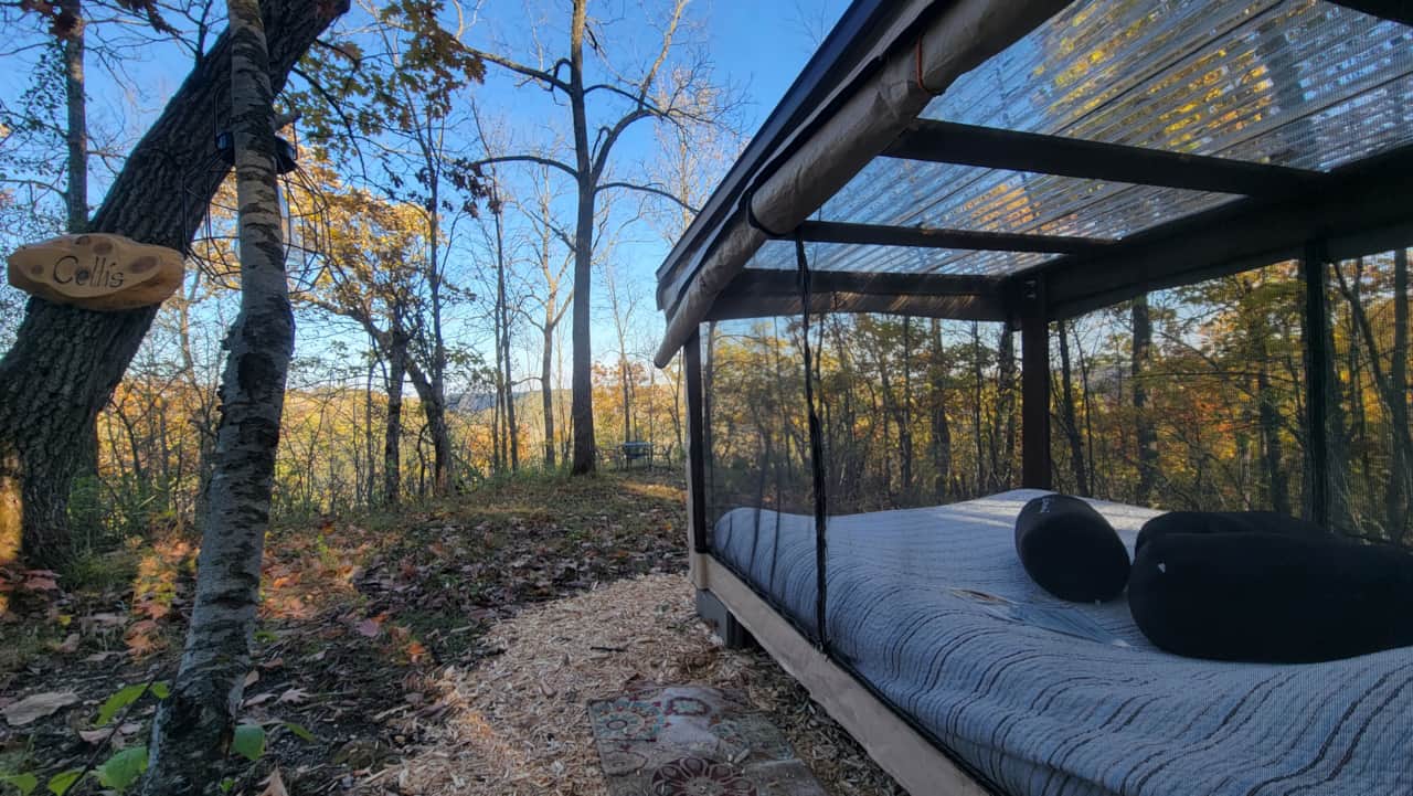 Celtis Outdoor Bed in the fall