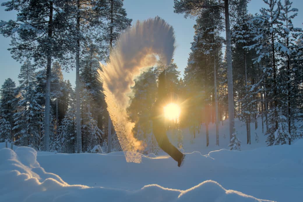 Chasing winter magic under golden light in the snowy forest. Chasing winter magic under golden light in the snowy forest.