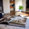 Rental image