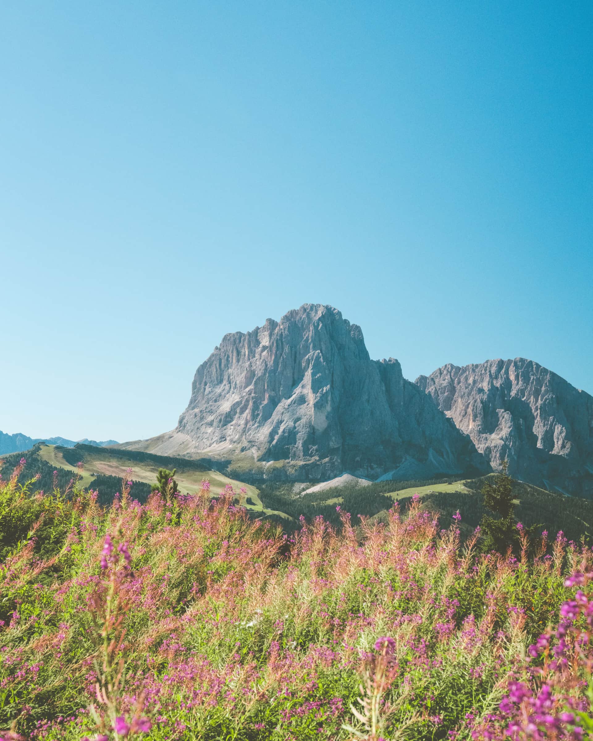 Primavera a Canazei