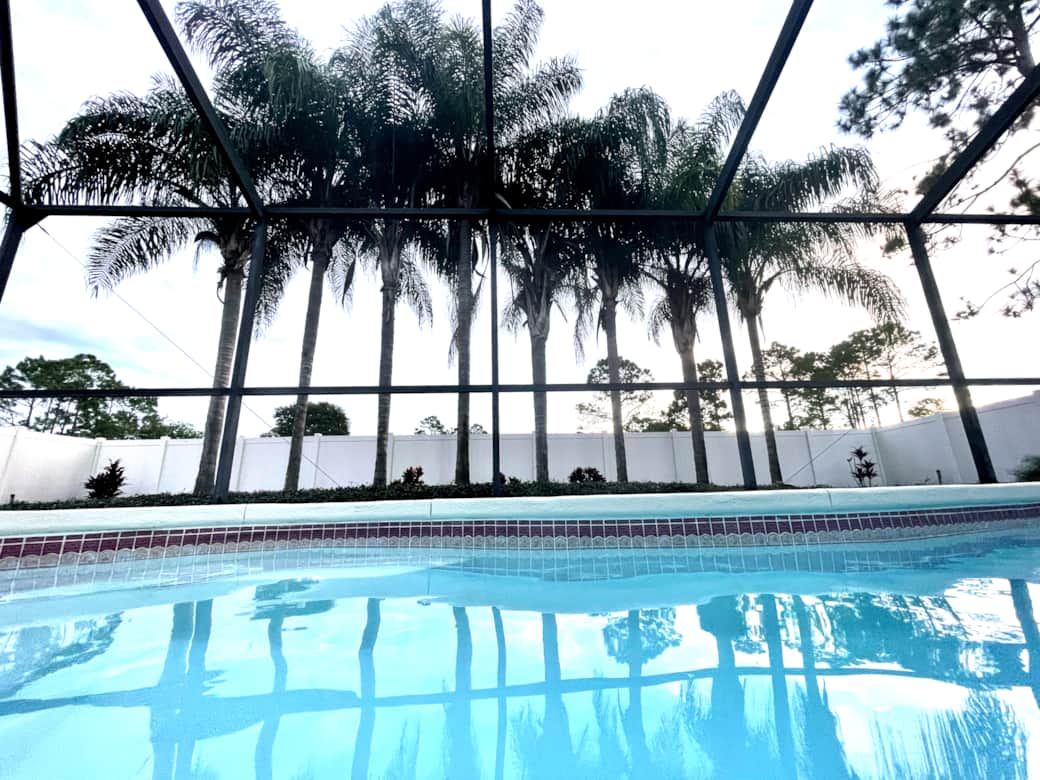 Heated Pool in Screened-In Lanai, Palm trees in backyard Heated Pool in Screened-In Lanai, Palm trees in backyard