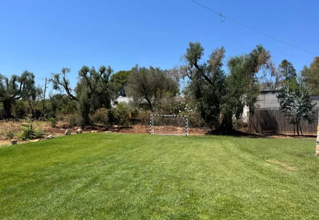 Football pitch with 2 goals 