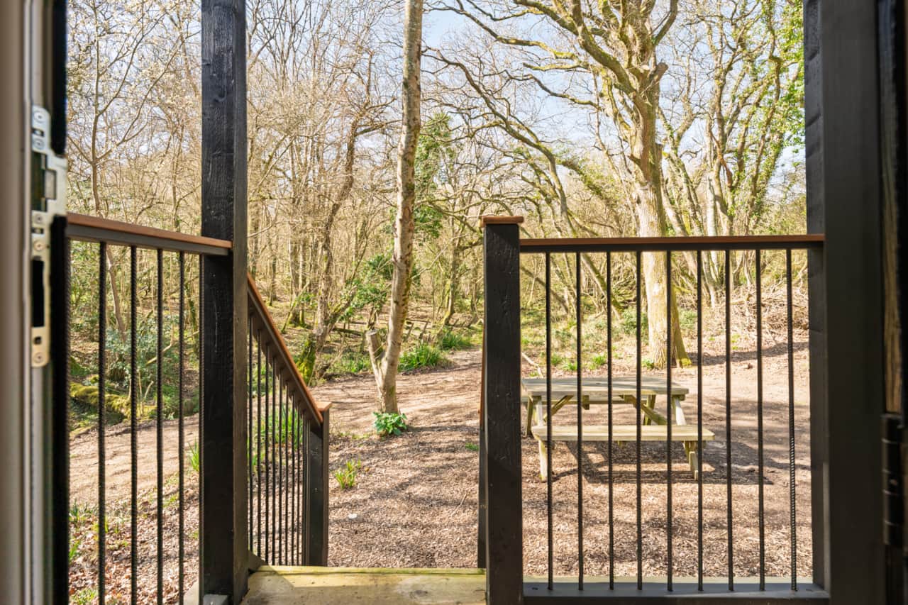 Bluebell Wood View