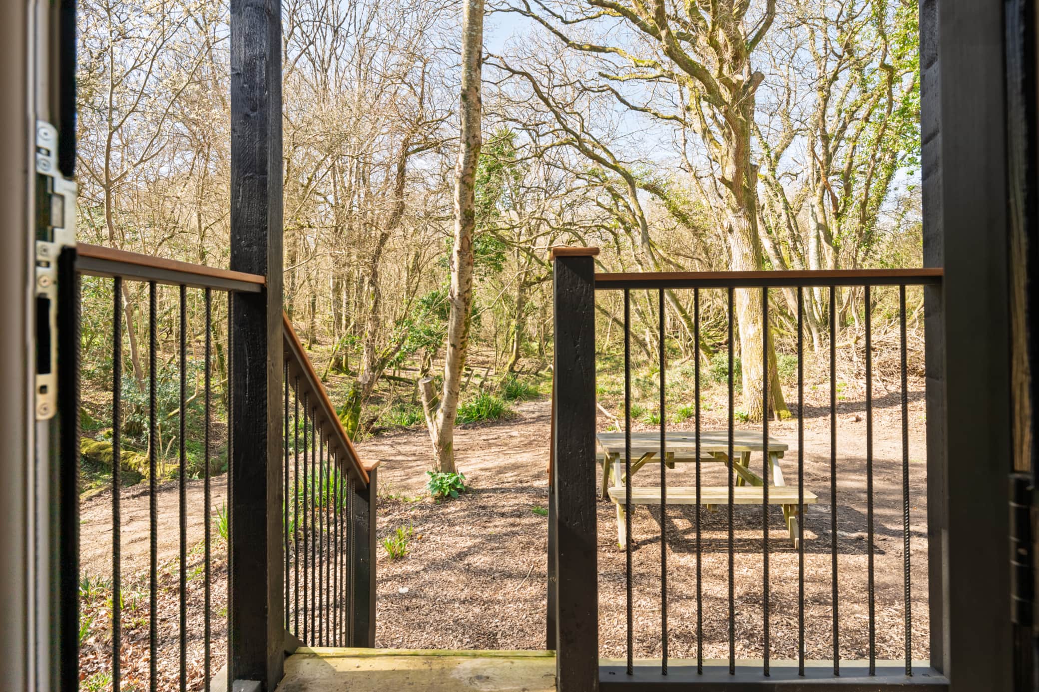 Bluebell Wood View