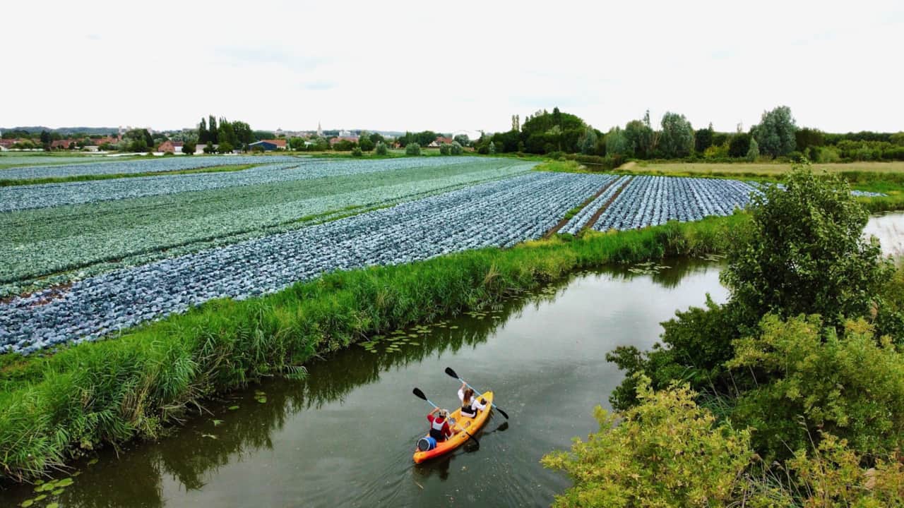 Accès direct aux marais de l'Audomarois