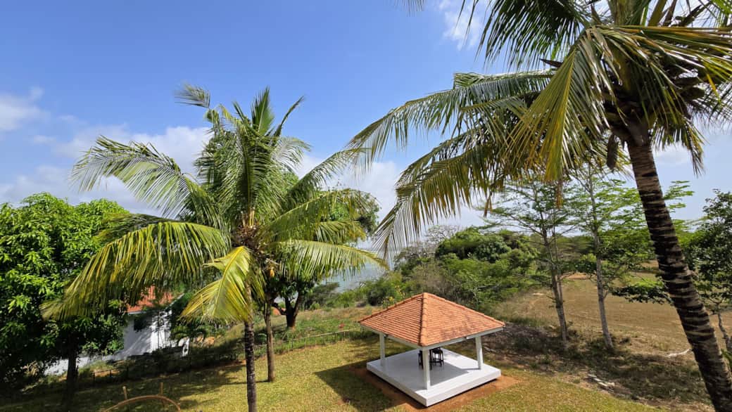 View from primary bedroom