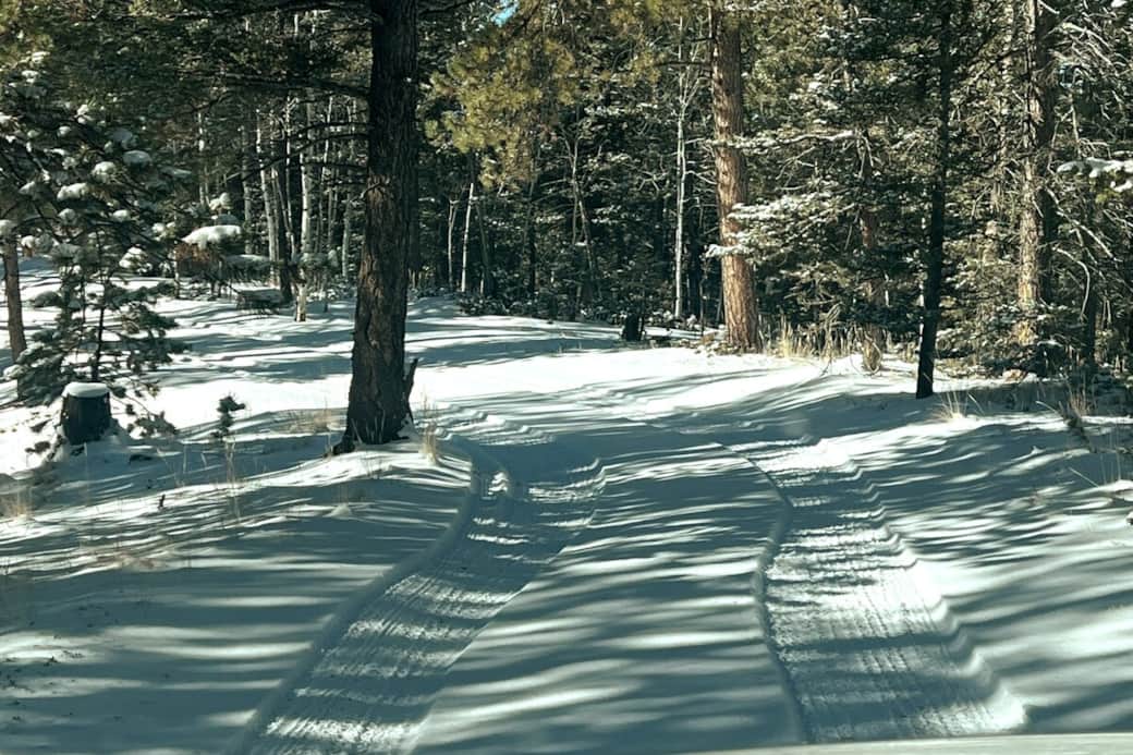 The drive coming in!  