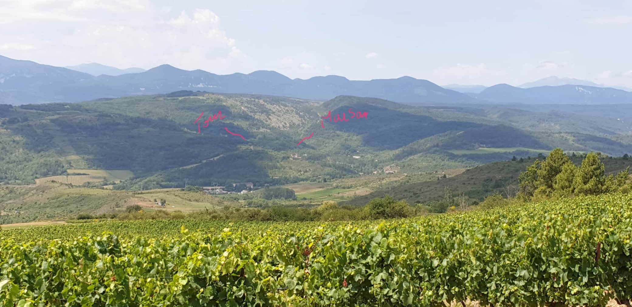 3 - extérieur - paysage - localisation - forêt.jpg