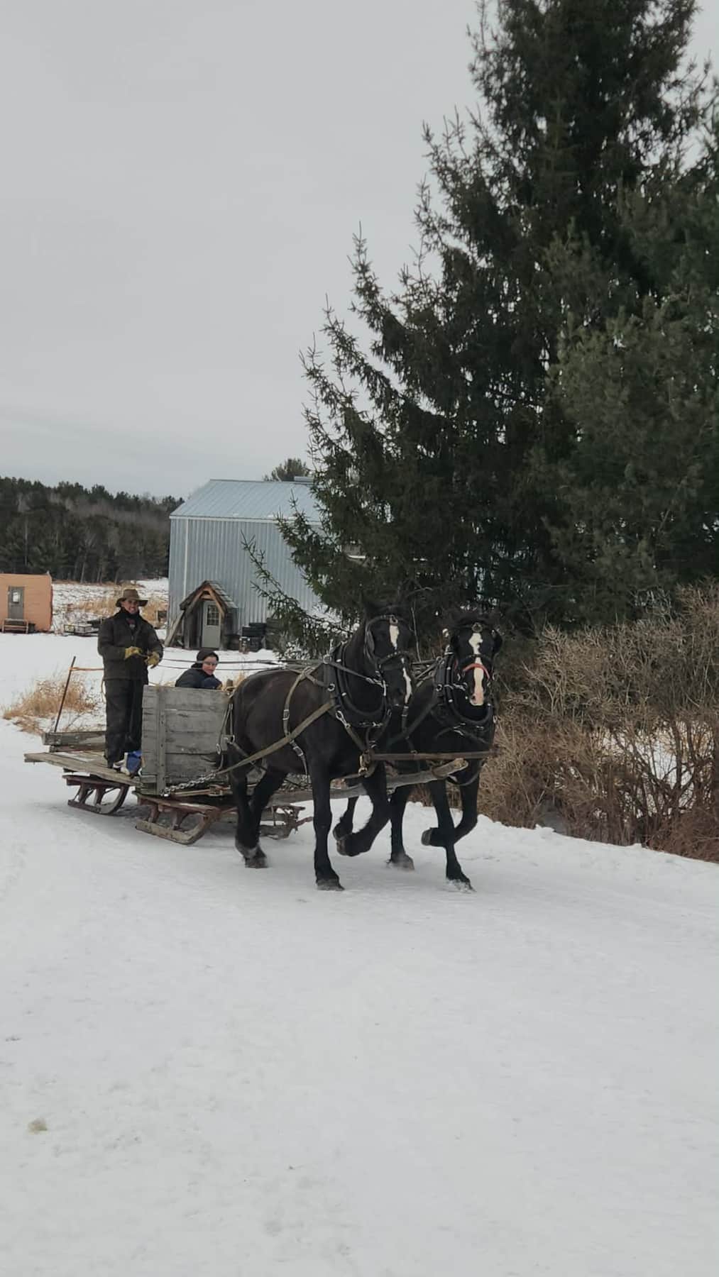 Wagon Rides with Willard!