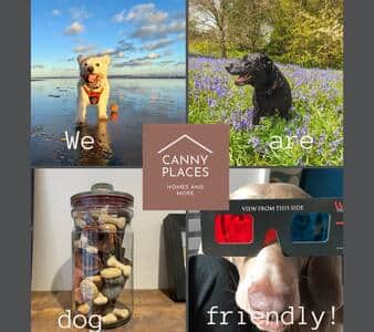 We are dog friendly!