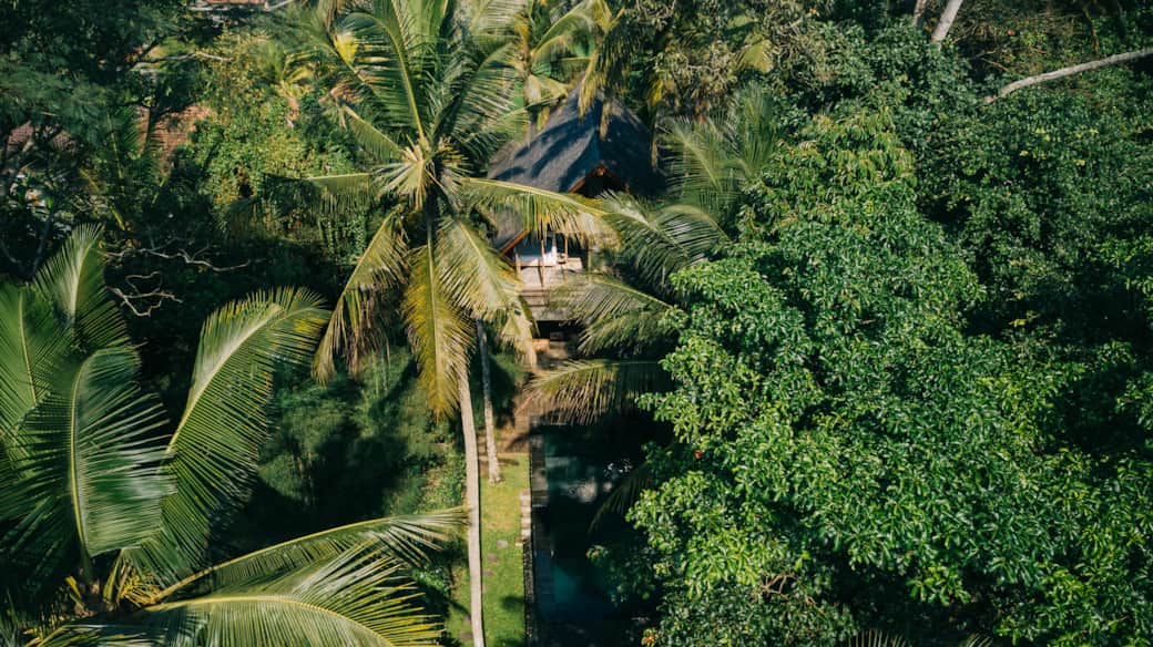 Private infinity pool surrounded by lush tropical jungle – Villa in Penestanan, Ubud