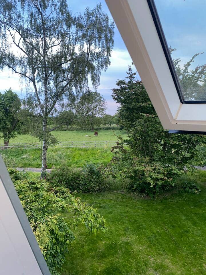 Our Hereford Bull in Bottom Paddock