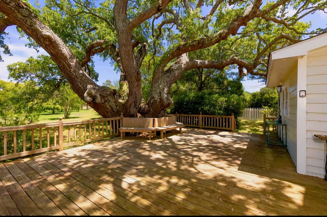 Certified over 100 years old in 2005! Certified over 100 years old in 2005!