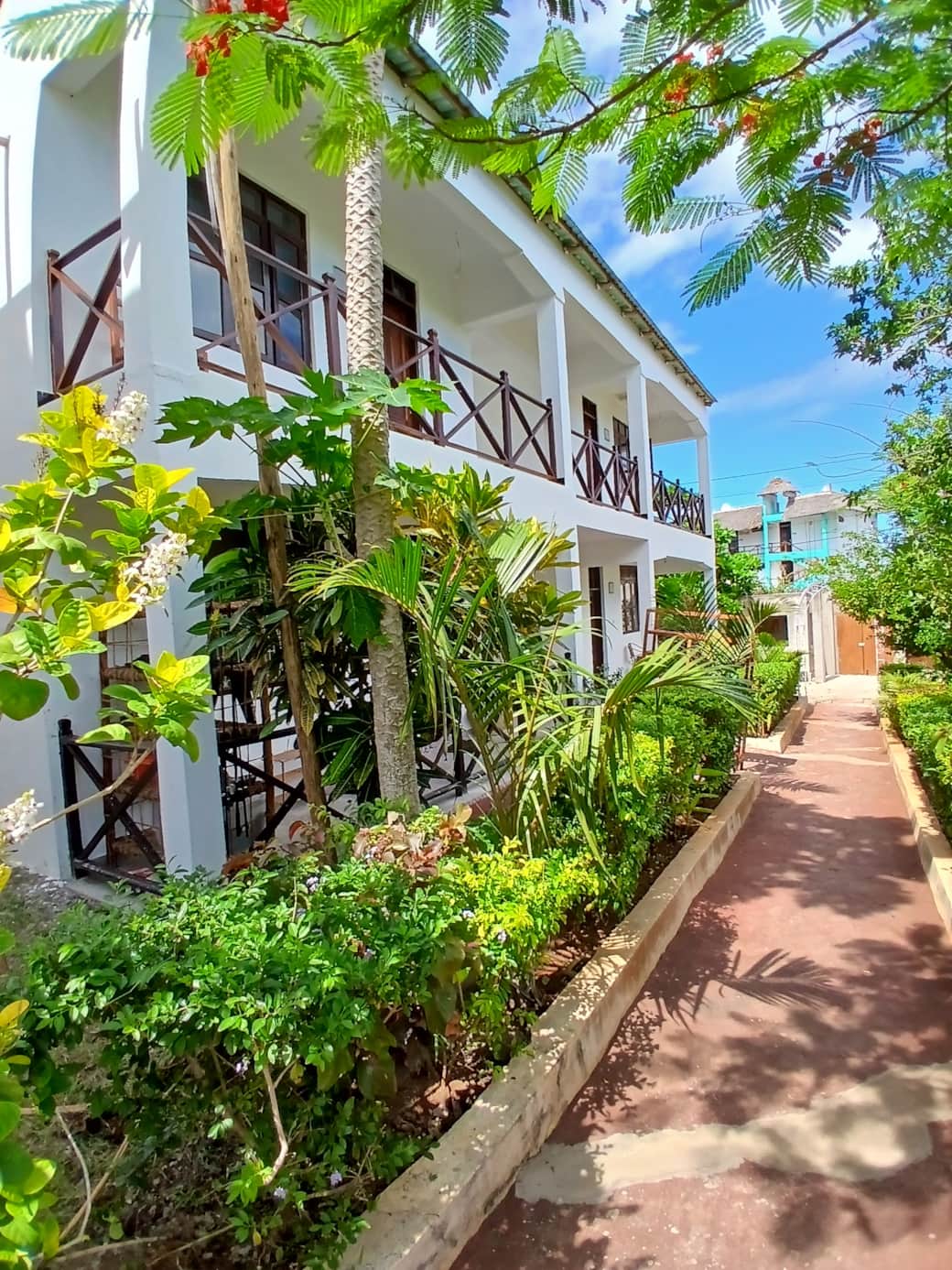 20241222_135458 (1) 20241222_135458 (1)