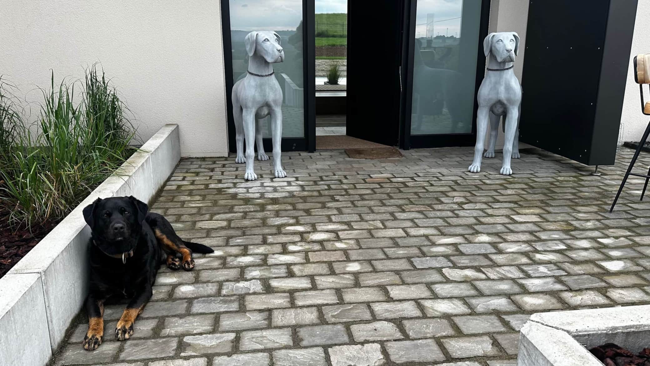 Fellnasen Willkommen