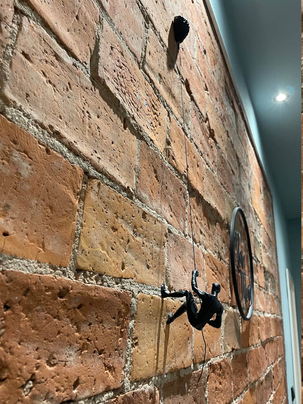 Wallclimber Wallclimber