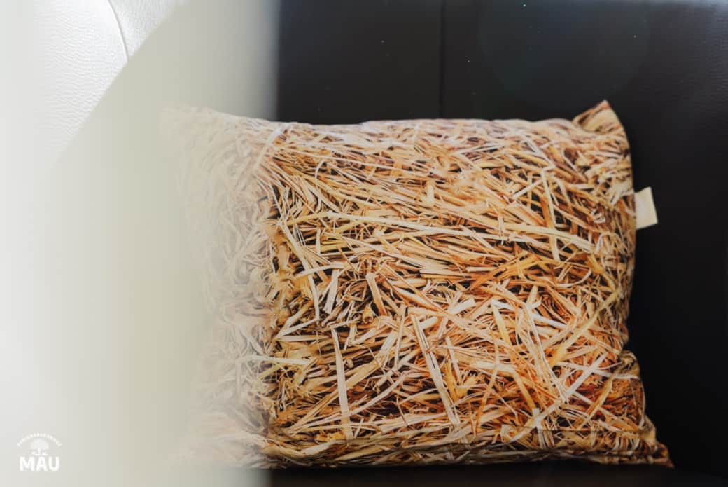 Ferienbauernhof Mau - Haus 7-3