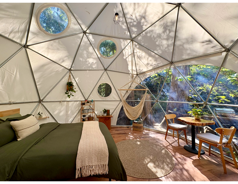 Inside the Dome