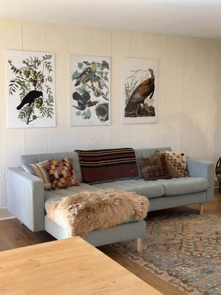URSA MINOR Living Room