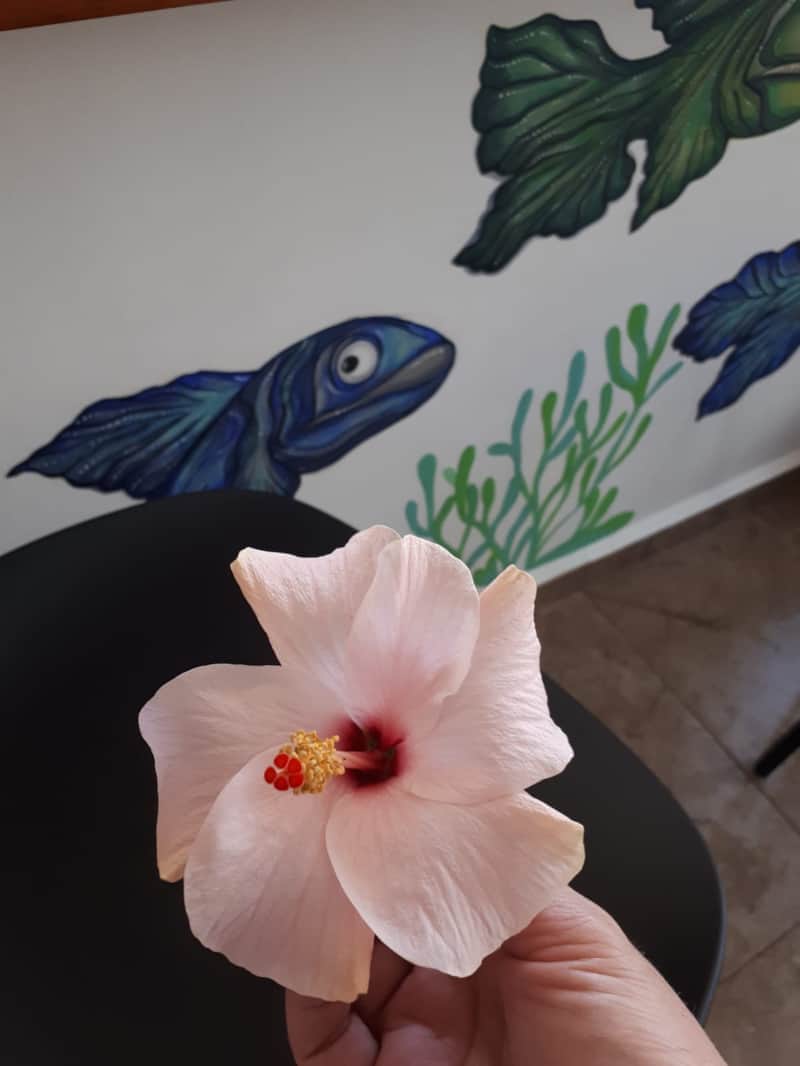 2e4e4254 61dd 46f2 87ee 6973ad89516b