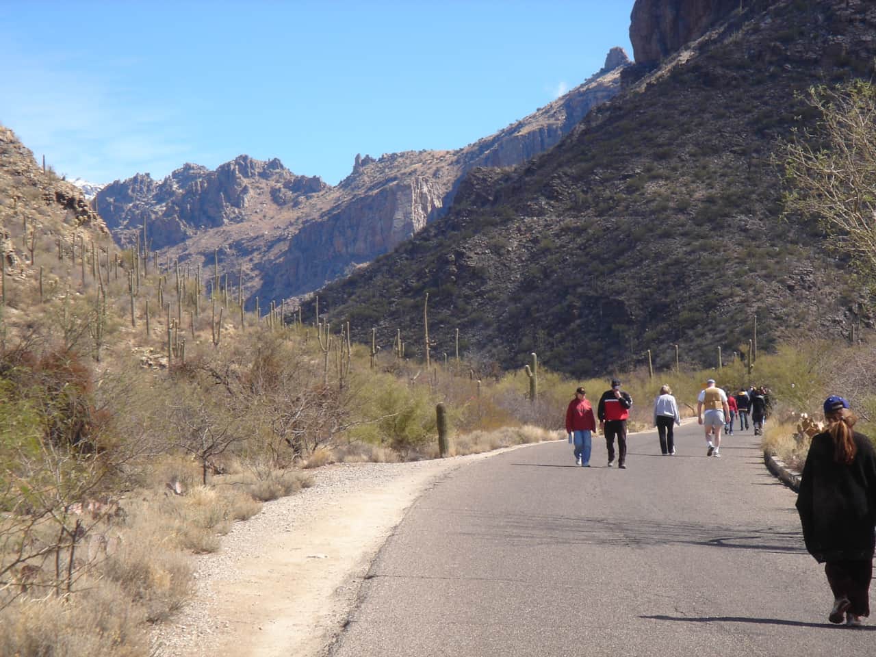 Sabino Canyon Great Walking Trail