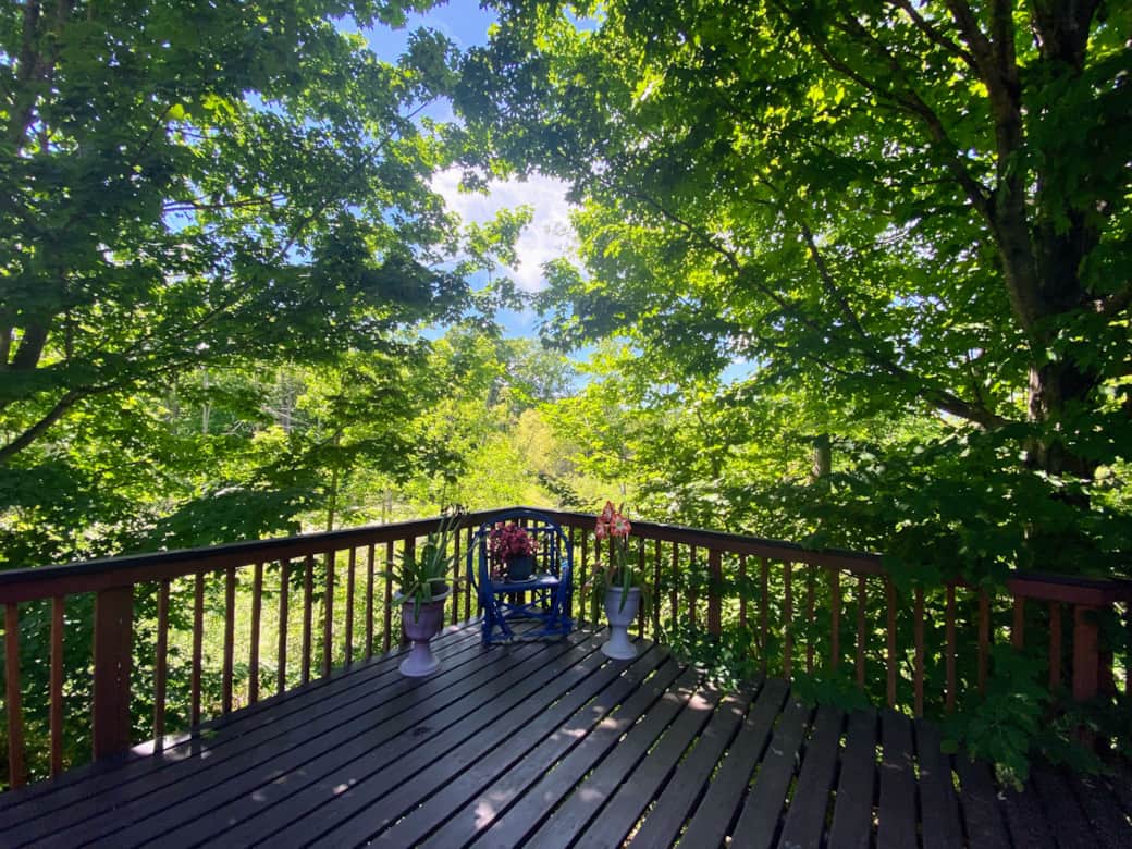 Deck overlooking the forest