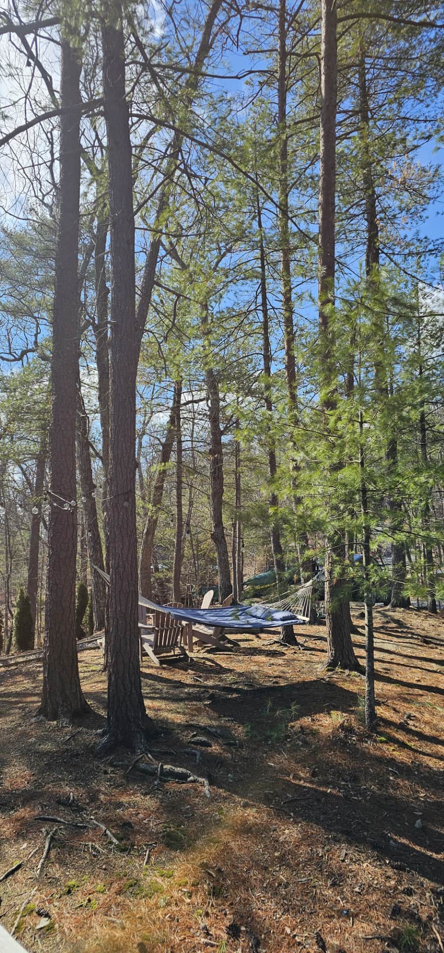 Spend a lazy afternoon swaying in the hammock nestled among the trees. Unplug and disconnect.