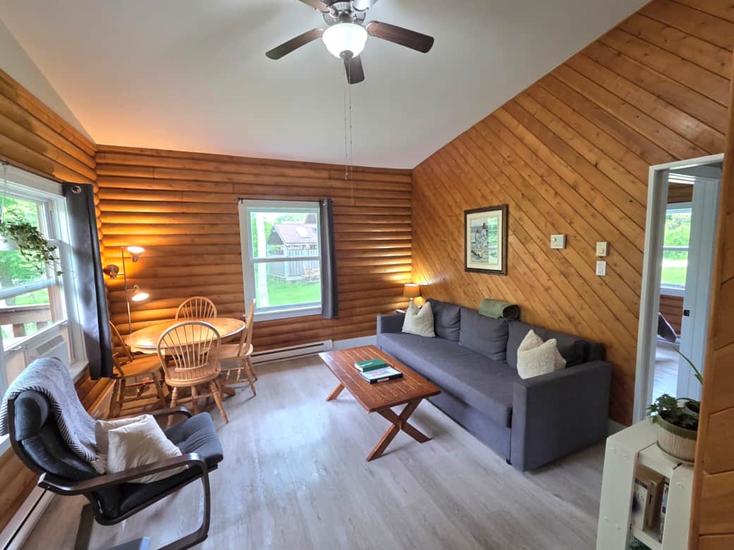 Living room with pullout sofa