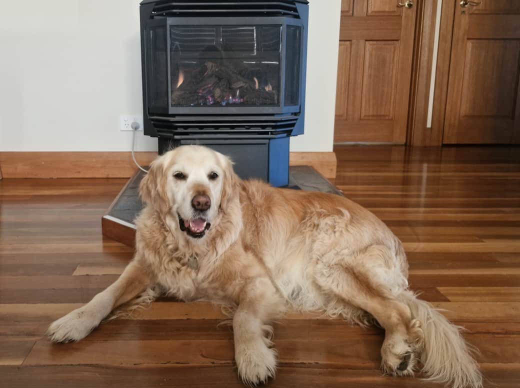 Bridget's in winter