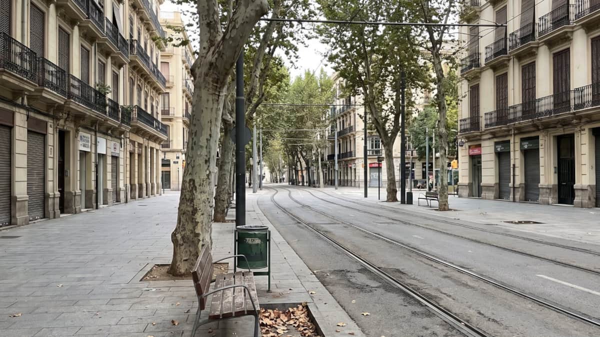 Avenida arbolada junto a la estación, en Valencia