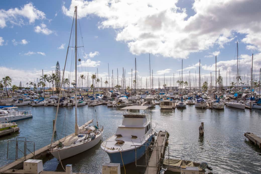 Harbor views. Harbor views.