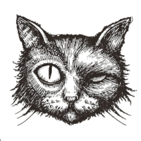 One Eyed Cat LLC