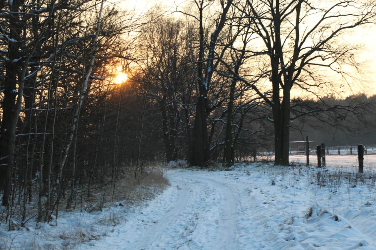 Spreewald im Winter
