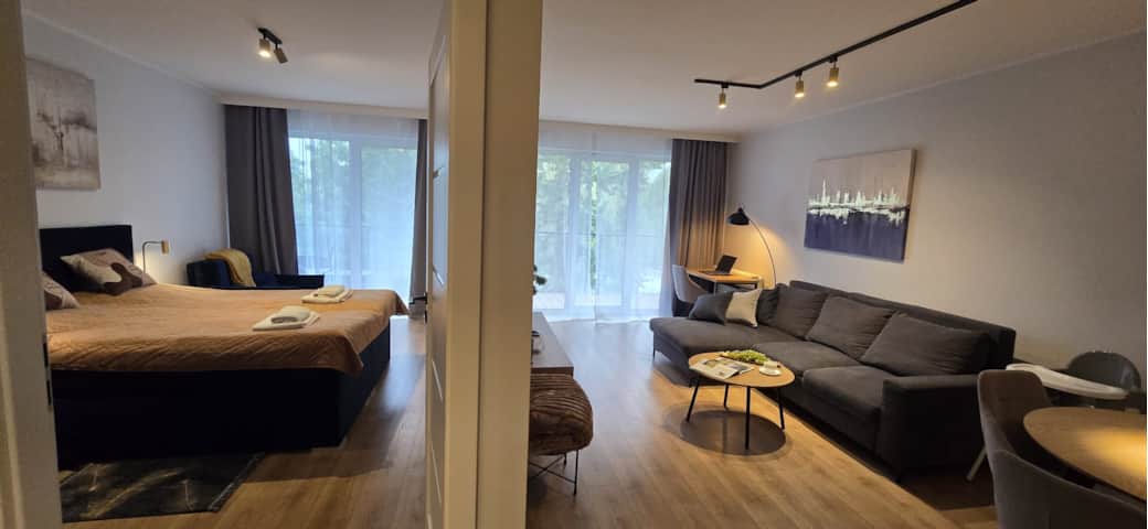 Living room and bedroom Living room and bedroom