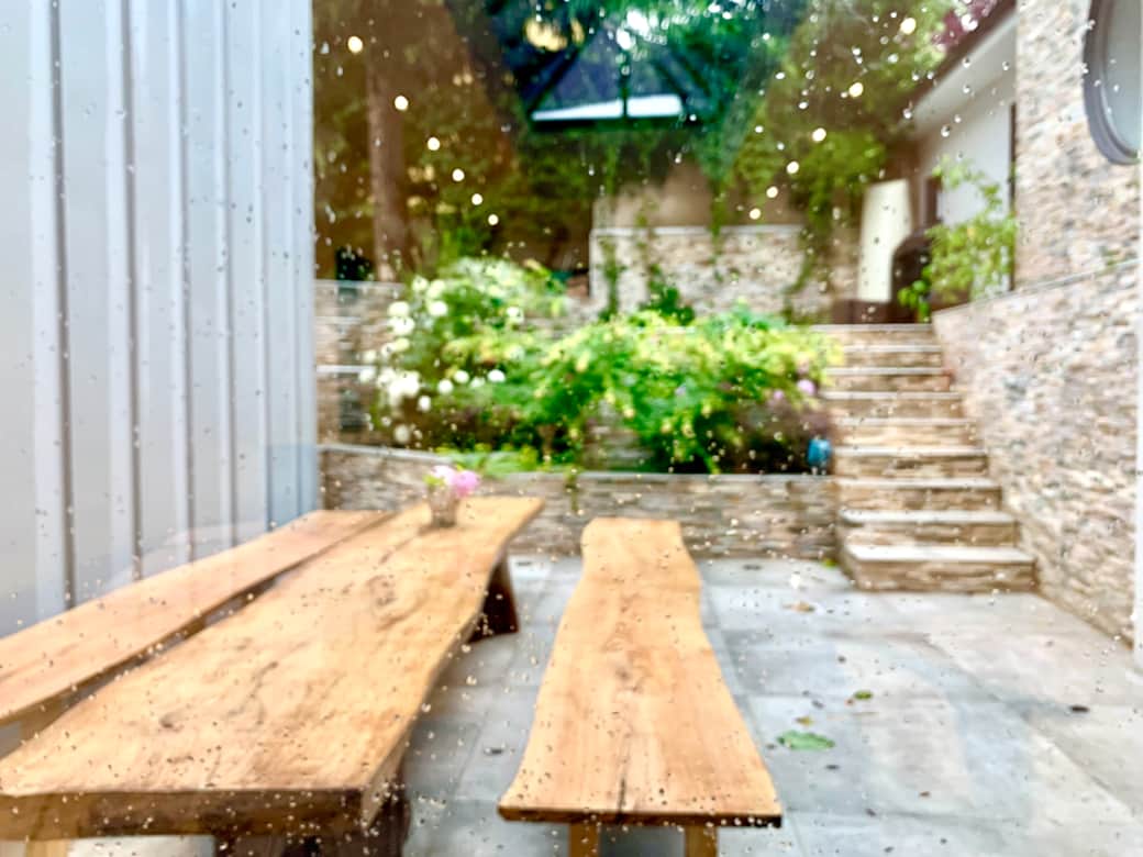 Back garden