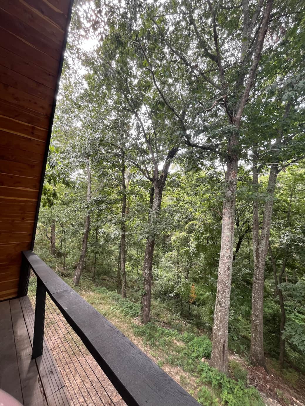 The patio overlooks a lush green holler. Enjoy the sounds of  wrens as you sip morning coffee or enjoy an early evening glass of wine to the tune of hooting owls.