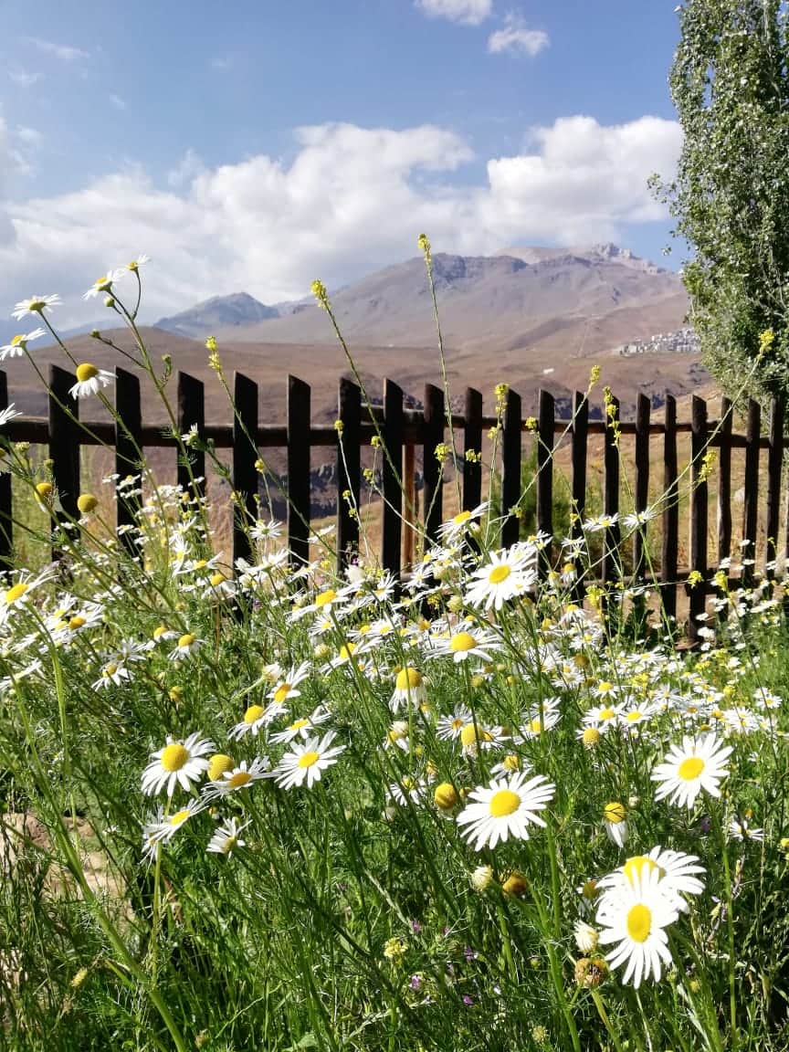 Vistas desde el jardín (espacio compartido con otros huéspedes)
